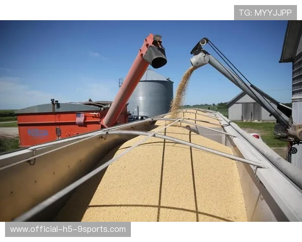 美国大豆想重返中国市场？商务部话中有话，美国大豆政策